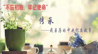 平原紀檢 執紀問責非文藝創作，求真務實方顯擔當